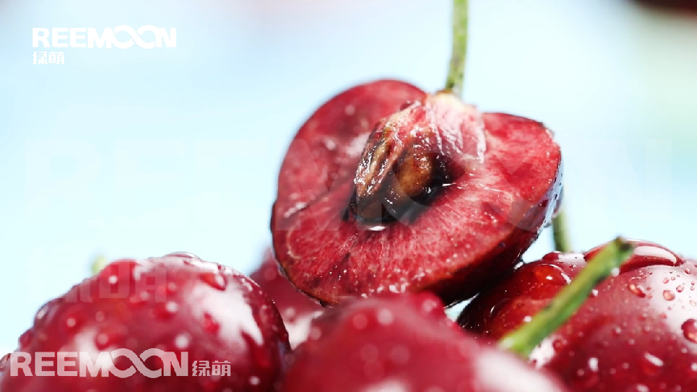 據(jù)新華社智利圣地亞哥3月24日電，智利水果生產(chǎn)商協(xié)會(huì)24日發(fā)布數(shù)據(jù)顯示，在剛剛結(jié)束的2020年至2021年櫻桃出口季中，智利櫻桃出口超過35萬噸，同比增長54.4%，其中對(duì)華出口超過32萬噸，同比增長55%。 在智利水果生產(chǎn)商協(xié)會(huì)24日舉行的櫻桃出口情況在線分析會(huì)上，鮮果出口行業(yè)分析師貢薩洛·薩利納斯表示，由于種植面積連年增加
