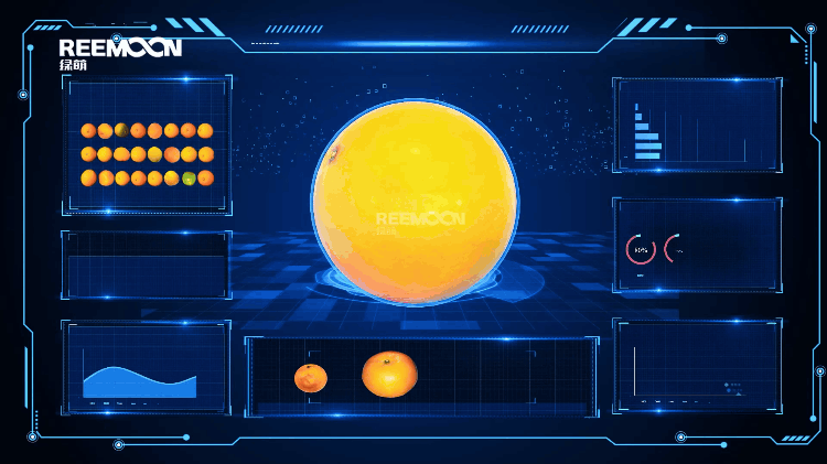 FRUSCAN H10.gif