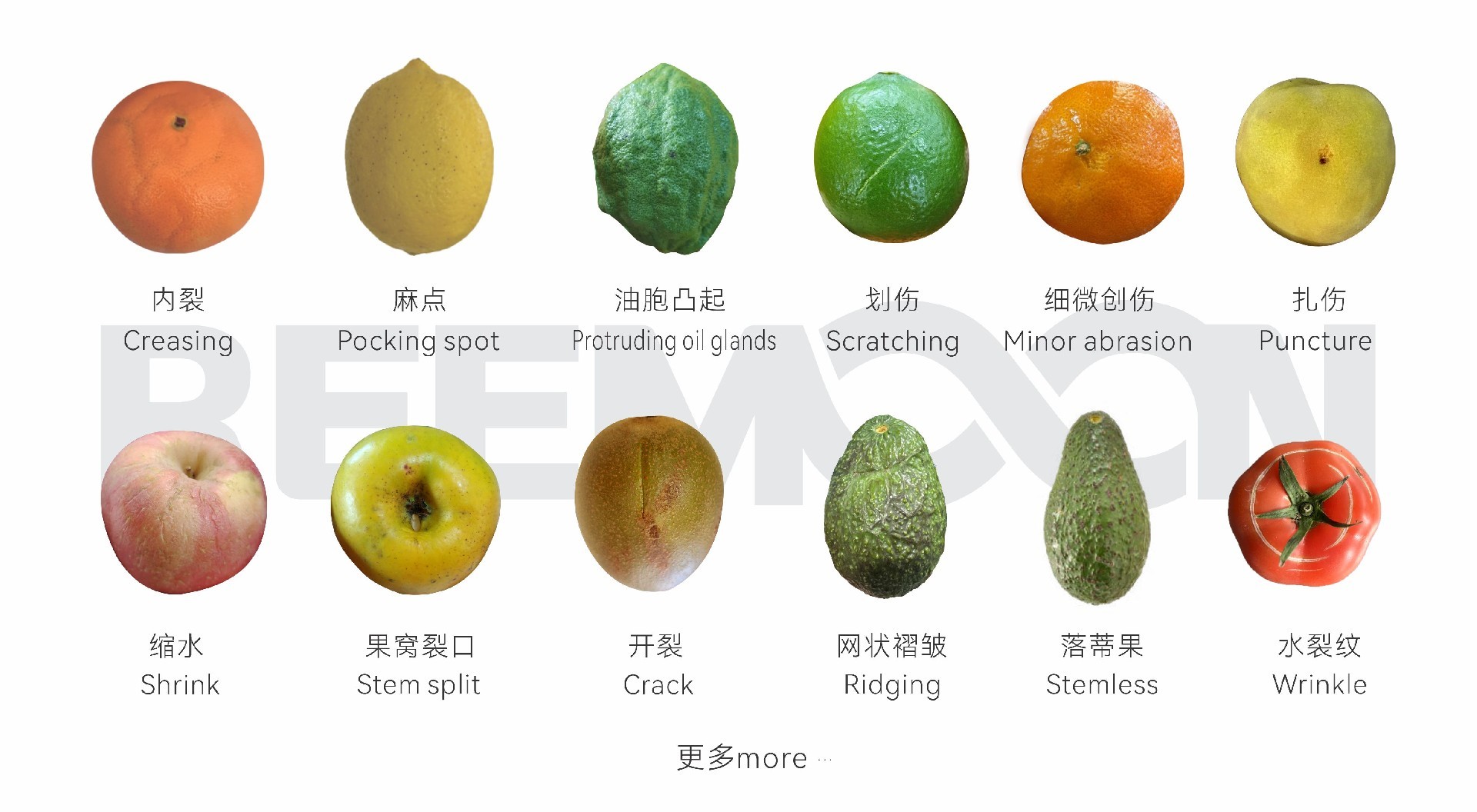 微信圖片_20250903174234.jpg